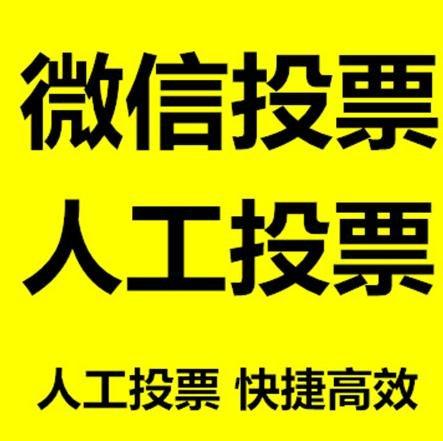 日照市小程序微信拉票通过什么方式操作有哪些方法操作？